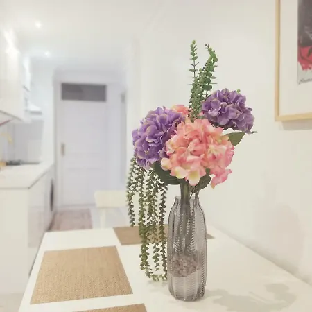 Stylish Flat Next To Marina * アリカンテ